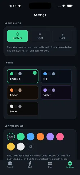 Needle's settings — appearance, five themes with light and dark variants, and the accent colour picker